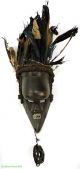Salampasu Mask With Feather Headdress Congo African Art Was $450 Masks photo 1