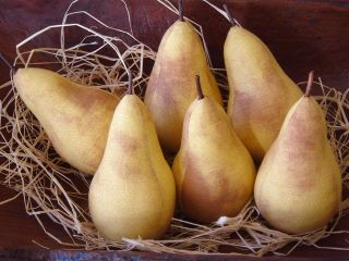 Primitive Pear Bowl Fillers Christmas Fabric Farmhouse Fruit Basket Ornies photo