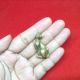 Thai Amulet Brass Cat Holy Buddha Call Money Lucky Gambling Wealth Love Charm Amulets photo 2