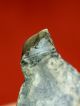 Mousterian Subtriangular Burin - Scraper Neolithic & Paleolithic photo 10