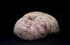 Ex Sotheby ' S 1969 Ancient Egyptian Sarcophagus Mask Late Period 664 Bc Egyptian photo 6
