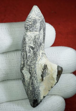 Upper Paleolithic,  Lalinde - Gönnersdorf Venus Figurine On A Flint Nodule photo