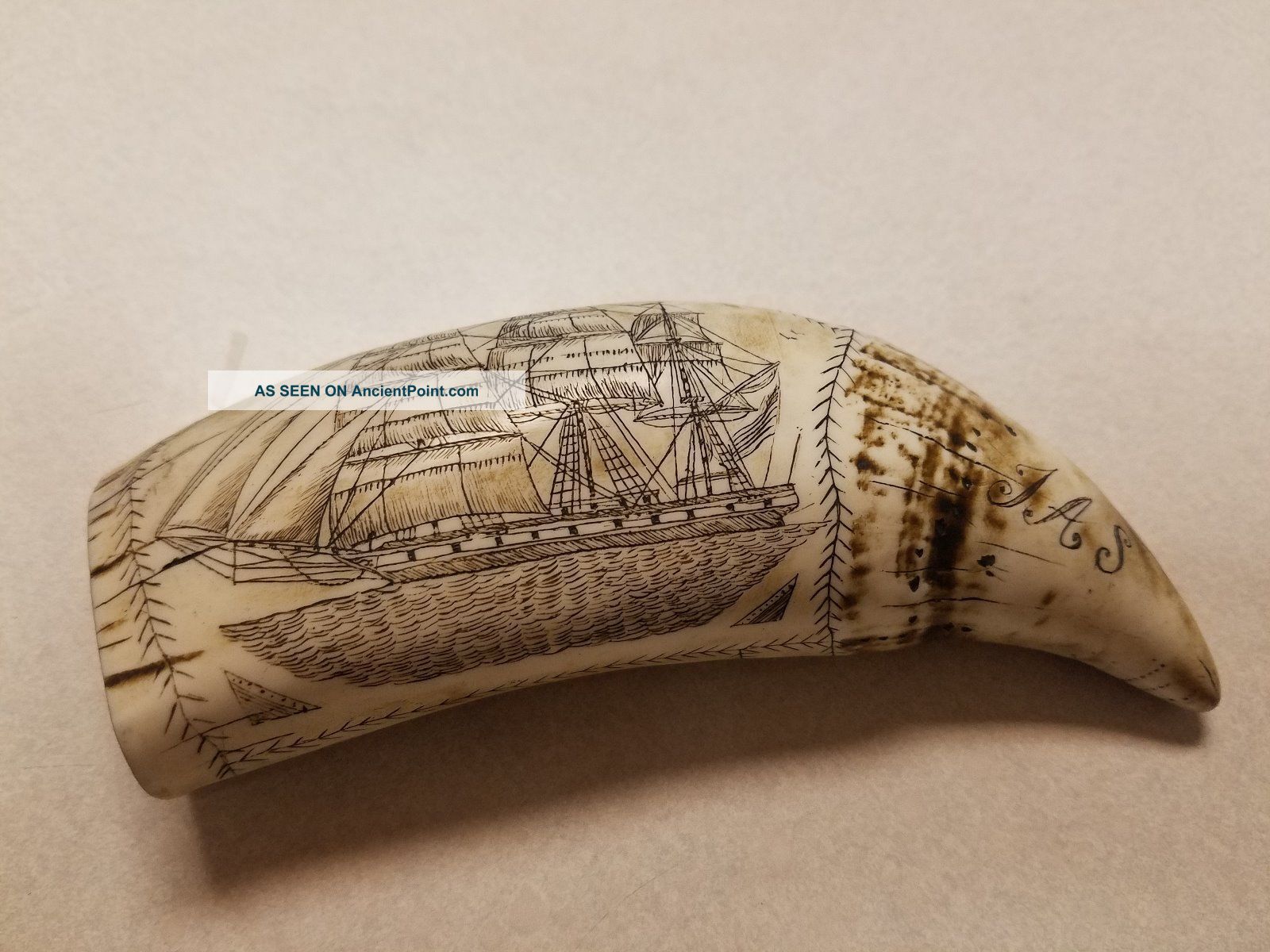 Scrimshaw Whale Tooth Resin Replica The 