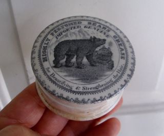 Antique,  Ceramic,  C1890 Bears Grease With Scrolled Border Jar Box Pot Lid photo