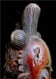 Old Tribal Baule Mask Coted ' Ivoire Other African Antiques photo 4