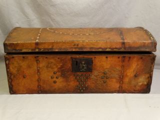 Antique 19thc Primitive Brass Tack & Animal Hide Dome Top Trunk Marriage Chest photo