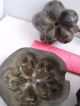 Four (4) Bronze Molds Millinery Silk Flowers,  2 Marked Molla Tool Corp.  N.  Y.  C. Industrial Molds photo 1
