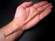 Extremely Rare Roman Period Long Bone Hair Pin,  As Found, Roman photo 8