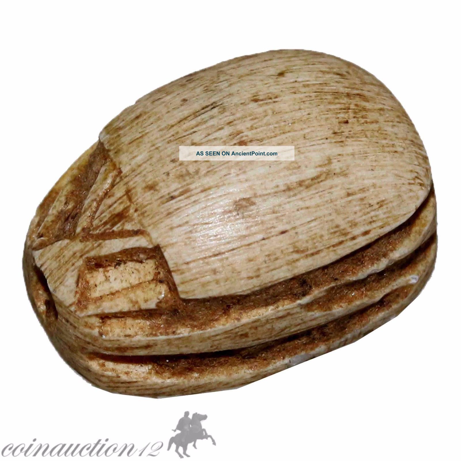 Intact Egyptian Carved Scarab Bead Seal 500 - 200 Bc Roman photo