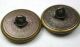 Antique Brass Button Pair Queen Victoria & Prince Albert Unusual Back Mark 7/8 