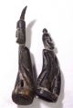 2 Finely Carved Charm Pair Made From Buffalo Horn - West Timor,  Atoni Pacific Islands & Oceania photo 1
