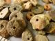 (10) Pre - 1600 Cherokee Indian Drilled Stone Trade Beads Found Judaculla Rock Nc Native American photo 3