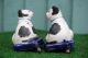 Pair: Mid 19thc Staffordshire Recumbent B & W Blue Eyed Cats C1860s Figurines photo 4
