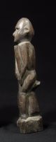 Protective Male Figure - West Timor - Pacific Islands & Oceania photo 5