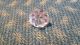 19th Century Antique Radiant Button Lavender Or Amethyst Dew Drop Buttons photo 4