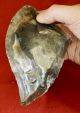 Large Mousterian Biface/hand Axe Neolithic & Paleolithic photo 11