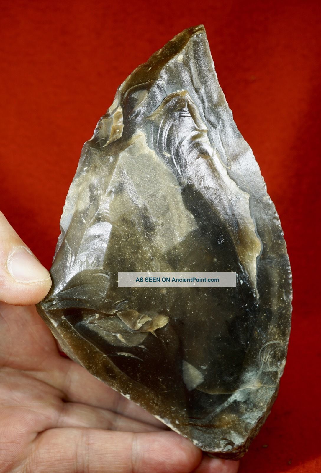 Large Mousterian Biface/hand Axe Neolithic & Paleolithic photo