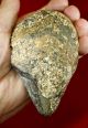 Lower Paleolithic,  Acheulian Mode 1 Proto Pebble Hand Axe Neolithic & Paleolithic photo 10