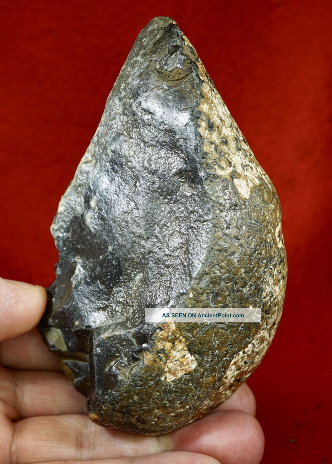 Lower Paleolithic,  Acheulian Mode 1 Proto Pebble Hand Axe Neolithic & Paleolithic photo