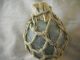 Vintage Japanese Glass Float With Attached Barnacle,  Alaska Beach Combed Fishing Nets & Floats photo 1