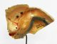 Wax And Bone Anatomical Model,  Circa 1920 Other Medical Antiques photo 1