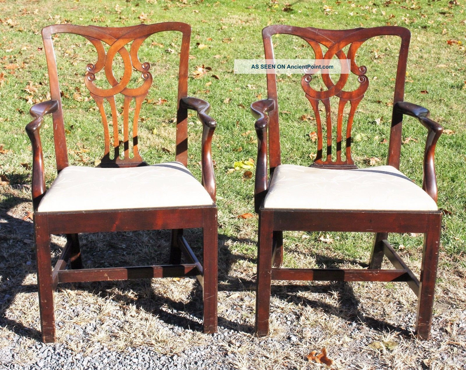 Antique Mahogany Chippendale Arm Chairs 1900-1950 photo