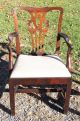 Antique Mahogany Chippendale Arm Chairs 1900-1950 photo 1