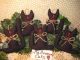 5 Handmade Halloween Black Fabric Cat Ornies Ornaments Bowl Fillers Home Decor Primitives photo 1