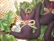 5 Handmade Halloween Black Fabric Cat Ornies Ornaments Bowl Fillers Home Decor Primitives photo 4