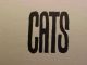 Cats Sign Kittens Kittycats Domestic Pets Wild Exotic Letterpress Printers Cut Binding, Embossing & Printing photo 1