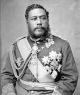 Rare Antique King Kalakaua 1875 Royal Hawaii Iolani Palace Button Turned Hat Pin Pacific Islands & Oceania photo 6