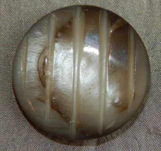 Antique Vintage Button Carved Mother Of Pearl Abalone Shell 134 - A photo