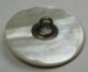 Antique Carved Iridescent Shell Button W/ Sterling Silver Flower - 1 & 3/16 