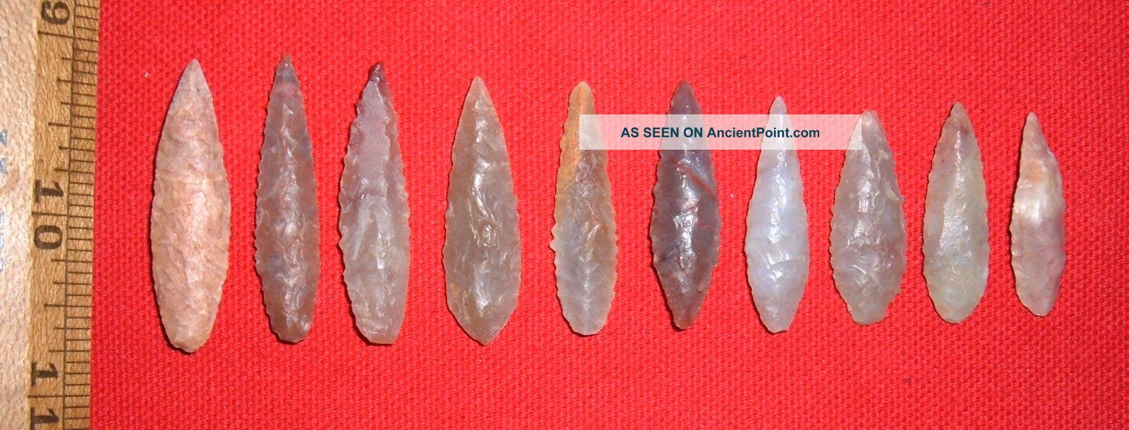 (10) Fine Sahara Neolithic Blades (1 