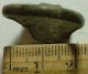 Rare Ancient Roman Seal Ring Artifact Intact Size 11 Hippocamp Sea Horse Roman photo 5