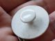 Antique Oval White Porcelain Stud Painted Roses Buttons photo 6