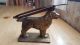 Antique Cast Iron Cocker Spaniel Y.  S.  C.  Toastee Articulated Fireplace Toaster Toasters photo 1