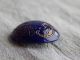 Antique Victorian China Glass Button Blue With Gold 311 - A Buttons photo 4