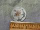Antique Victorian China Glass Button White 312 - A Buttons photo 3