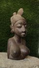 African Vintage Art Hand - Carved Wood Woman ' S Head Bust Statue Sculptures & Statues photo 1