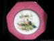 Antique Wedgwood Cabinet Plate Chelsea Vienna Birds C.  1908 Unicorn Mark Plates & Chargers photo 4