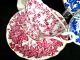Coalport Tea Cup And Saucer 2 Ivy Pattern Teacup Chintz Design Blue Pink Cups & Saucers photo 3