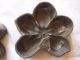 Fantastic Vintage/antique Millinery Orchid Flower Petal Mold Tool Die Bronze? Industrial Molds photo 2