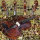 Antique Violin Labelled Franz Geissenhof,  Wien.  Great Tone - Warm,  Mature String photo 4