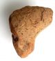Flintstone Natural Core Resembles Hand Axe Neanderthal Age Paleolithic Neolithic & Paleolithic photo 1