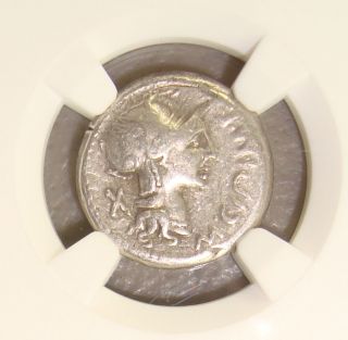 115/4 Bc M.  Cipius M.  F.  Ancient Roman Republic Silver Denarius Ngc Vf photo