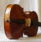Antique Violin By Franz Schramm,  Graslitz String photo 3