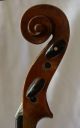 Antique Violin By Franz Schramm,  Graslitz String photo 4