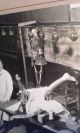 Medical Theater Lecture School Cadaver Corpse Skeleton Black Doctor Photo C1910 Other Medical Antiques photo 3