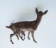 Vienna Austria Antique Cold Painted Bronze Mother Deer Doe And Her Fawn,  Signed, Metalware photo 1